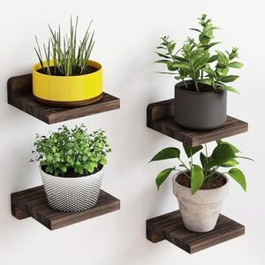DeepZone MiniWood Corner Floating Wall Shelves – Set of 4 Rustic Wooden Plant Holders for Indoor Home Decor & Display
